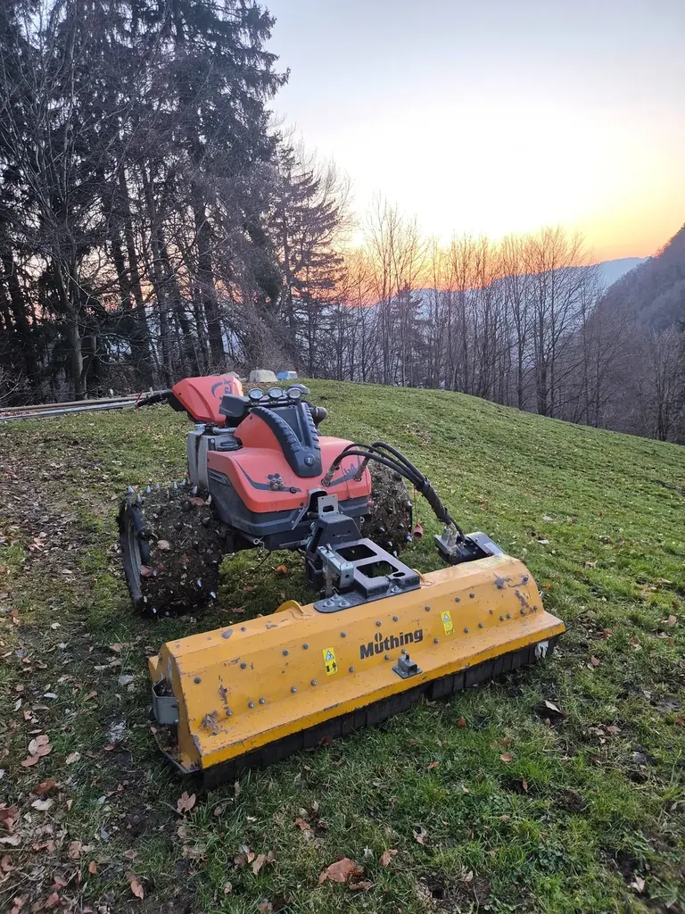 Gartenpflege – Bild 1