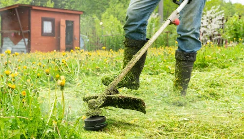 Gartenpflege – Bild 5